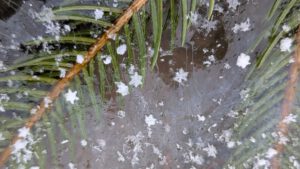 Read more about the article Aus dem Zwischen kommt die Kraft: Warum die wahre Musik zwischen den Noten spielt